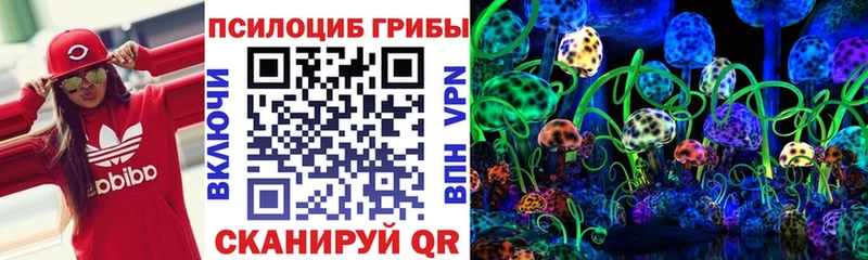 маркетплейс клад  хочу наркоту  Сухиничи  Псилоцибиновые грибы Cubensis 